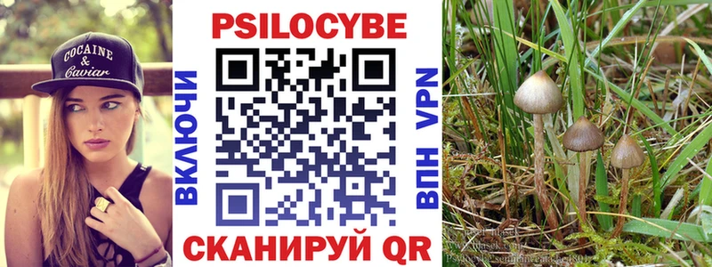 Купить  Печоры  Псилоцибиновые грибы прущие грибы 
